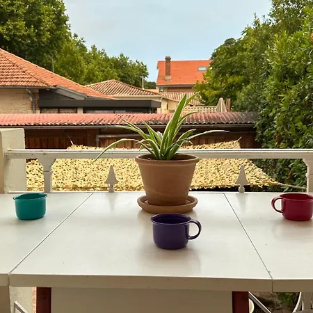 House Near The With Terrace And Parking Vakantiehuis Arcachon